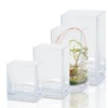 10"H X 6" X 4" CLEAR GLASS RECTANGLE CASE -Floral Magic 10h x 6 x 4 clear glass rectangle case