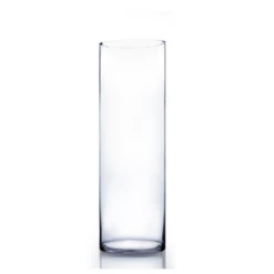 14"h X 8" CLEAR GLASS CYLINDER VASE