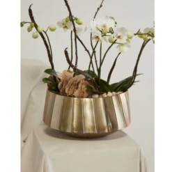 8”H X 10.5” X 7.25” GOLD METAL OVAL HELENA BOAT 8 8”H X 10.5” X 7.25” GOLD METAL OVAL HELENA BOAT -Floral Magic 8h x 105 x 725 gold metal oval helena boat 2