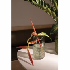 10”H X 5” CLEREL GLASS VASE (AD) -Floral Magic accent decor 10h x 5 clerel glass vase ad 2