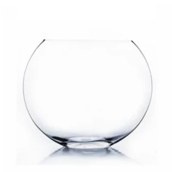 Clear Med Moon Vase H-10" X D-12"