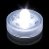 LED WHITE SUBMERSIBLE 12 TO THE PACK -Floral Magic led white submersible 12 to the pack
